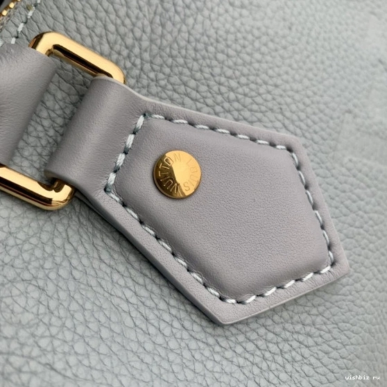 WIS SPEEDY VUITTON 20 BANDOULIÈRE LOUIS 1210